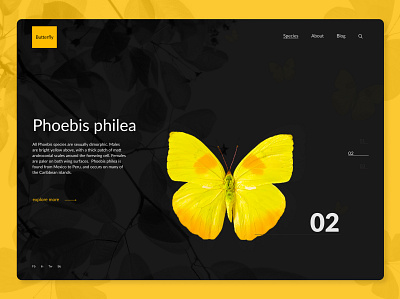 Learn all about butterflies - website butterfly concept design minimal nature ui ux