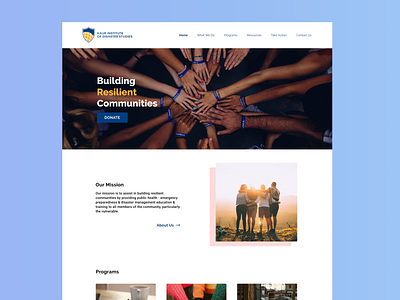Kaur Institute of Disaster Studies nonprofit ui design web design website