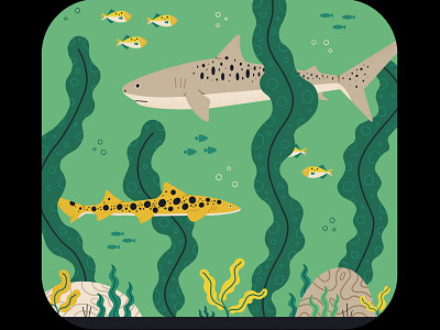 Sharks bermuda diving fish illustration procreate reef sea shark under water