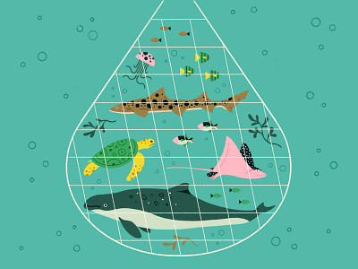 Fishing Net designs, themes, templates and downloadable graphic elements on  Dribbble