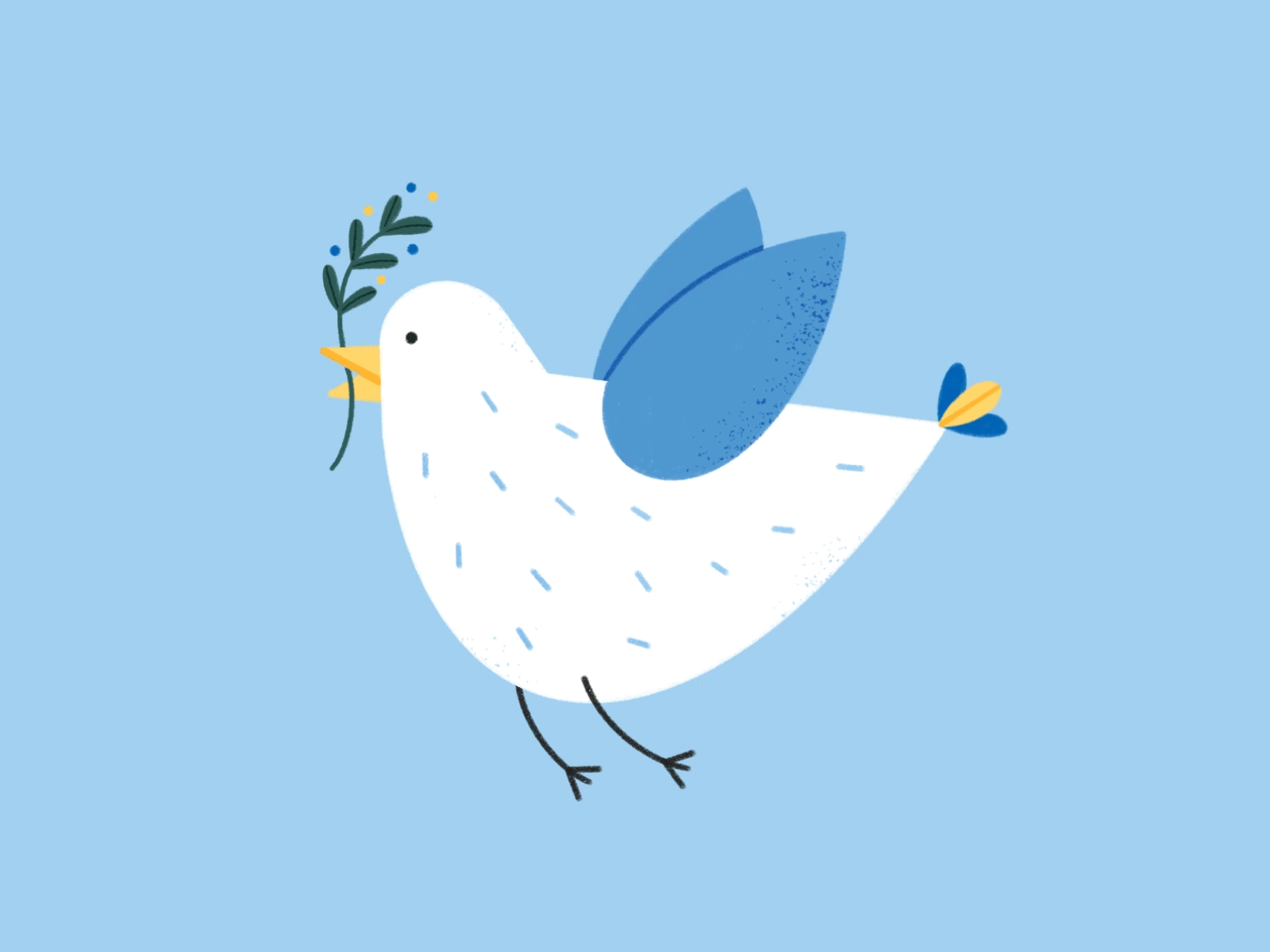Peace for Ukraine animation design dove drawing flying bird illustration peace peace dove procreate stop war ukraine