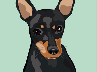 Pet portrait pet portrait dog illustrator