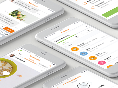 Magra App app application behance calendar design diet fitness icons ios iphone timeline ui