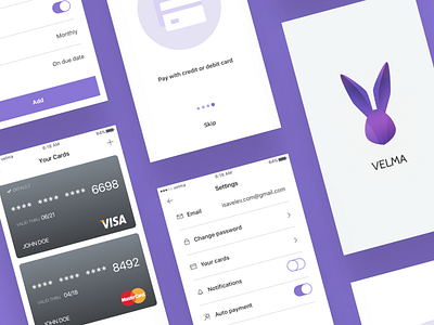 Velma App app bank banking cards form icons illustration ios logo onboarding payment system
