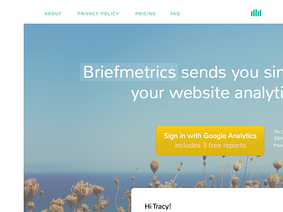 Briefmetrics.com redesign analytics clean full photo