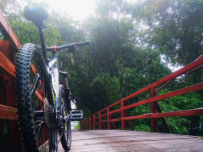 IMG 20201025 bike on wood bridge