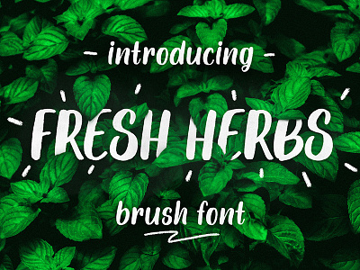 Fresh Herbs font brush font cursive font fresh herbs handwritting lettering text type typography