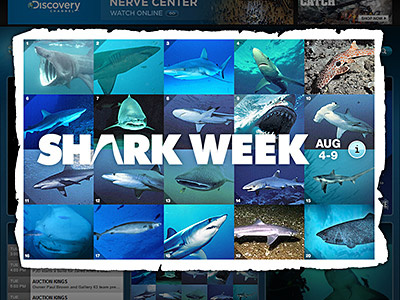 INTERACTIVE LIGHTBOX: SHARK WEEK discovery channel interactive lightbox shark week websites
