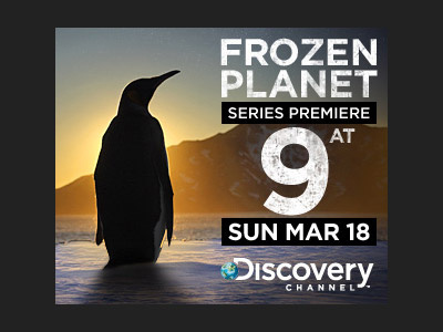 AD: FROZEN PLANET discovery channel frozen planet web ads