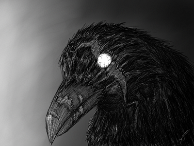 The Ravenlord (reupload) art artwork commission concept crow illustration lord raven scary sky white
