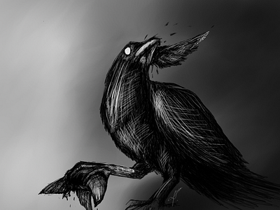 The Ravenlord´s Wrath commission creepy crow illustration lord novel pidgeon raven scary sky white