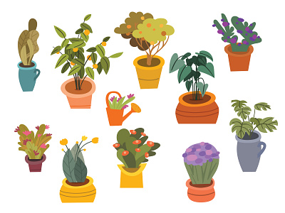 Plant Illustrations