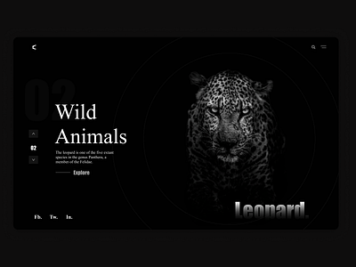 Wild Animals - Leopard animals figma leopard uiuxdesign webdesign