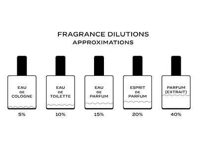 Fragrance Dilutions infographic workshop