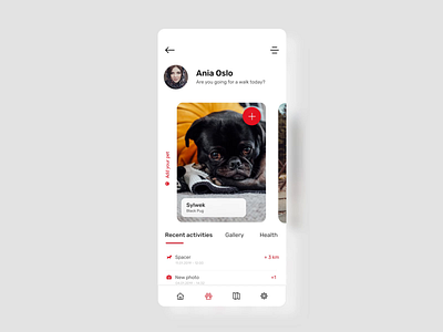 PetWise - Mobile App animal animation application design dog finder googlecloud ios lost lovedog map mobile pet petfinder petwise stepwise ui uidesign ux uxdesign