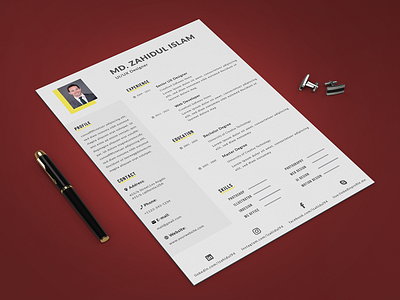 Professional RESUME/CV Design branding cv clean cv resume template cv template design flyer design resume resume cv resume design resume template typography vector