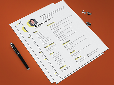 Professional RESUME/CV Design