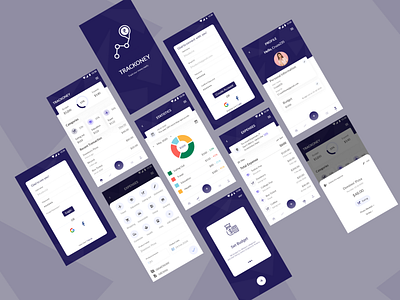 Expense Tracking application design dribble illustration logo typography web