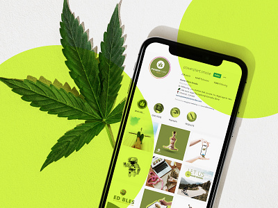Cannabis Online Store.