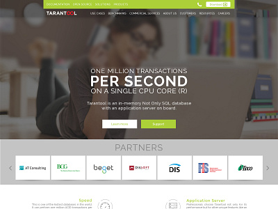 Tarantool.io Website Design