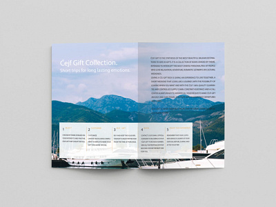 brochure mockup brochure design brochure mockup mock up mockup design