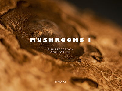 Mushrooms Photo Collection Vol.I