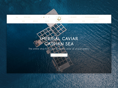 UI / Caviar Web design