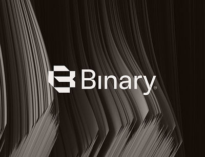 Binary Clothing brandidentity branding clothing design graphic design illustration logo logodesigner monogram tech typography ui