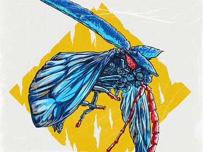 Арт-постеры "насекомые"