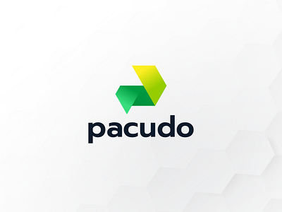 Pacudo app applications branding colorful design icon illustration logo modern monogram packaging software ui vector