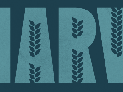 Harvest branding type typography