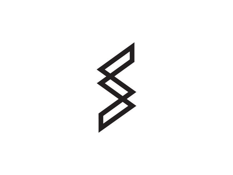 SS Logo brand logo logotype typography