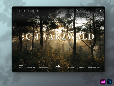 UI - Web Design Schwarzwald