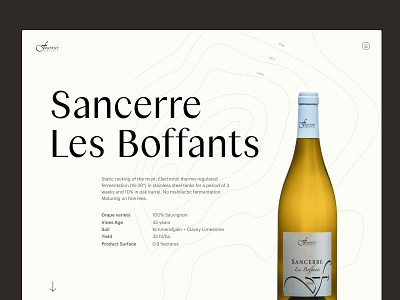 Winery Layout clean header layout simple typogaphy website wine