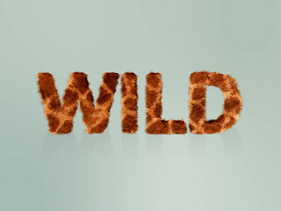 Wild Types animation design illustration interaction typography website
