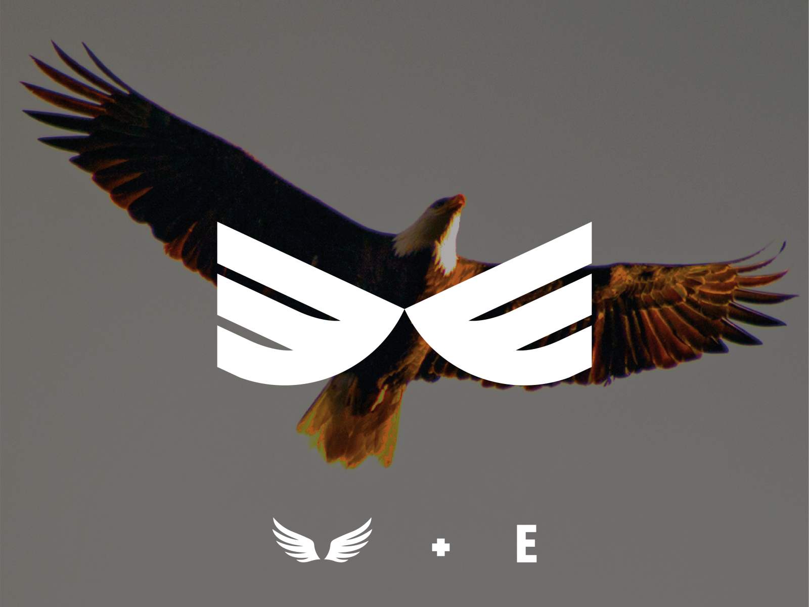 Eagle Wings logo by Mahdyr Ebrahimi on Dribbble