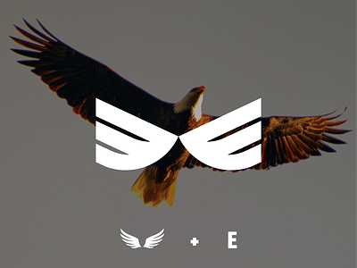 Eagle Wings logo brand brand design brand identity branding corporate design corporate identity design e eagle graphic graphic design illustration logo logo and branding logo design logotype typography vector wings