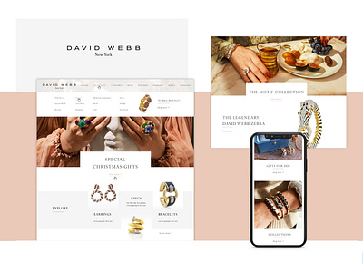 David Webb Website design