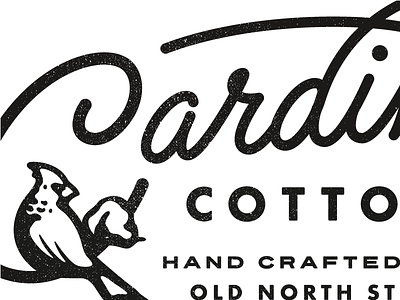 Cardinal Cotton cardinal cotton matthew cook nc north carolina script texture typography
