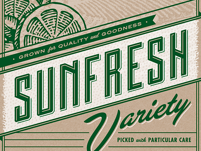 Sunfresh Variety Produce grocery illustration matthew cook packaging produce script texture the variable typography vintage