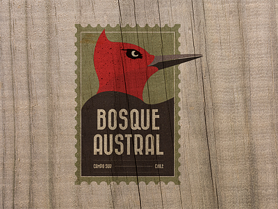 Bosque Austral brand chile forest identity logotype texture wood