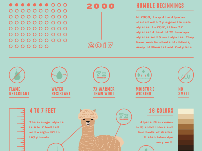 Alpaca Infograhic alpaca data visualization infographic