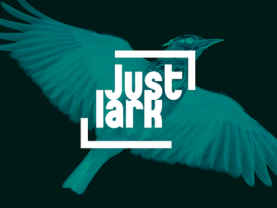 Just lark branding concept design graphic design lettering typography vector