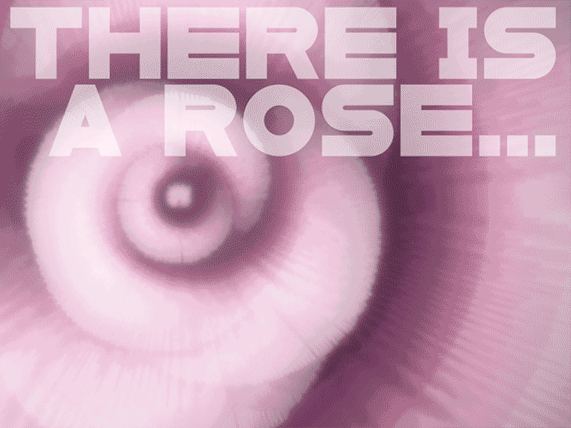 there is a rose... animation rose