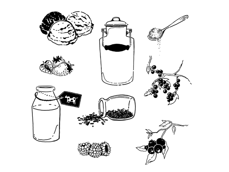 Recipe drawings milk sketch ice cream strawberry blueberry sugar spirnkles