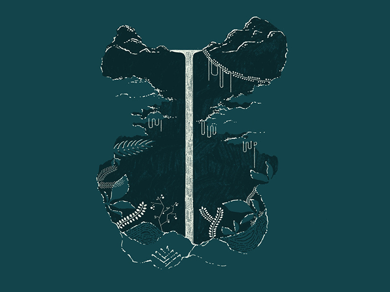 Midnight forest forest night midnight highlights waterfall jungle minimal leaves bush