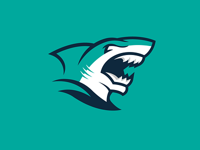 Shark Logo by Sean McCarthy on Dribbble