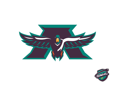 Anaheim Ducks - Sean's NHL anaheim anaheim ducks branding ducks hockey hockey logo identity logo mighty ducks nhl sports sports logo