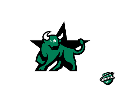 Dallas Stars - Sean's NHL branding dallas identity illustration illustrator logo nhl sports sports logo stars vector