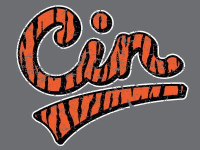 Updated Bengals Logo by Sean McCarthy on Dribbble